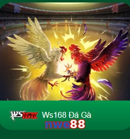 nwe88